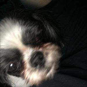 Meet your Posher, Stacy